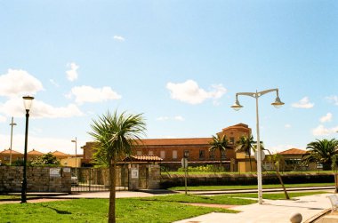 Palmiye ağaçlarıyla dolu güneşli bir parkta.