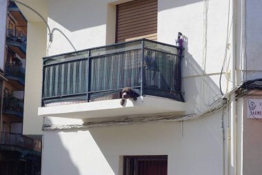 Açık pencereli bir binanın balkonunda.. 