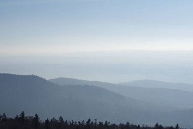 Temiz bir gökyüzü ve orman manzarası olan güzel bir dağ vadisi..