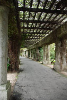 Kıvrımlı perspektifli, kafes çatılı ve yemyeşil bir manzarayla çevrili bir yürüyüş yolu..