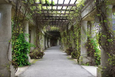 Sarmaşık kaplı bir yürüyüş yolu, tırmanma bitkileri ve sarmaşıkları olan bir bahçeye açılıyor..