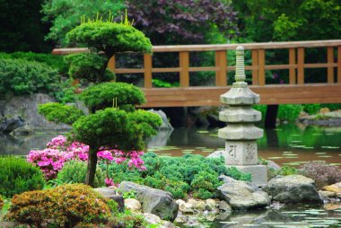 Bir gölet, köprü, bitkilerle dolu kaya bahçesi ve küçük bir pagoda ve taş fener gibi geleneksel Japon elementleriyle sakin bir bahçe sahnesi..