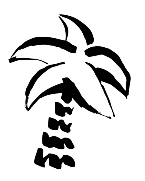 Palme Von Hand Mit Pinsel Bemalt Doodle Karikatur Kokospalme Symbol — Stockvektor