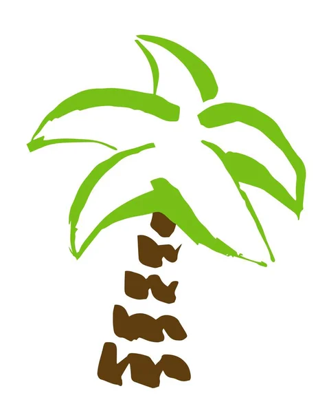 Пальмовое Дерево Нарисованное Кистью Doodle Мультфильм Кокосовые Пальмы Значок Изолирован — стоковый вектор