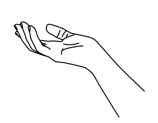 Esboço Desenhado Mão Lineart Doodle Mão Segurar Dar Gestos Ilustração — Vetor de Stock