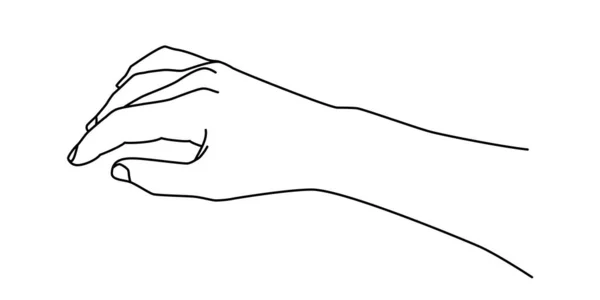 Рука Намальована Контурним Лінійним Ручним Каракулем Тримаючи Даючи Жест Тонка — стоковий вектор