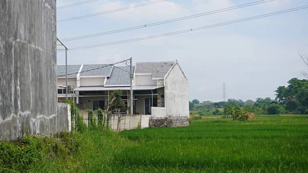 House near the rice paddy field           