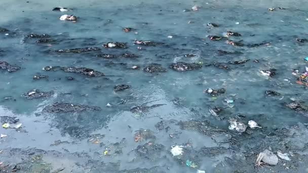 Грязная Черная Вода Реке Калидами Сурабая Восточная Ява Индонезия Декабря — стоковое видео