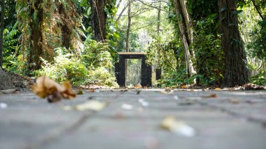 Zemin kattan odak noktası dışı, parlak. Endonezya 'da. 30 Eylül 2017