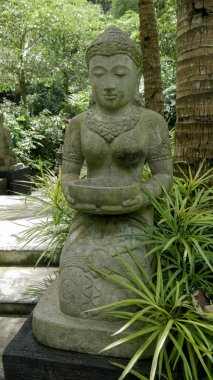 Tanrıça Devleti Kapatma. Lembah Tumpang, Malang, Doğu Java, Endonezya 'da çekildi. 18 Şubat 2023