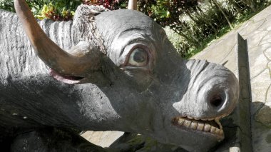 Buffalo Heykeli 'nin Başı' nın yakın görüntüsü. Lembah Tumpang, Malang, Doğu Java, Endonezya 'da çekildi. 18 Şubat 2023