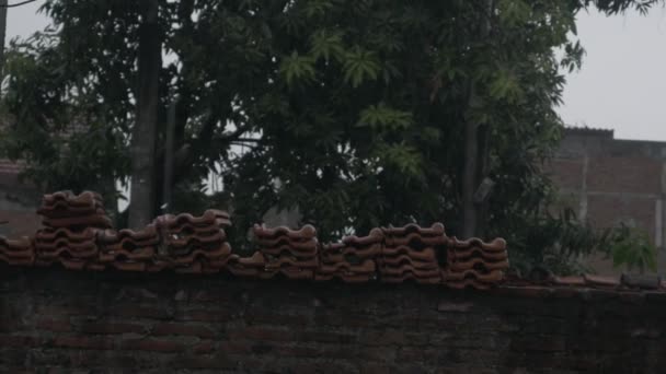 屋根の上の家に落ちる重い雨 インドネシアの東ジャワのスラバヤで撮影 2023年1月19日 — ストック動画