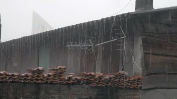 Heavy Rain Falling Roof Top House Diambil Alih Surabaya Jawa — Stok Video