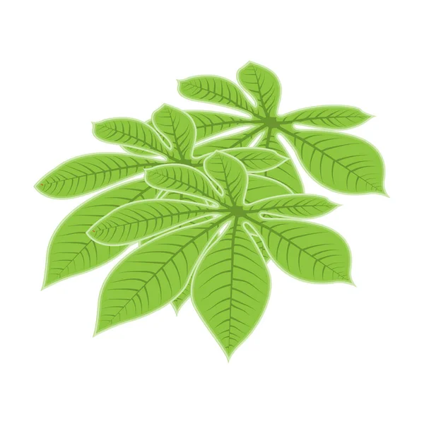 Blatt Logo Green Plant Design Blätter Der Bäume Produktmarke Vorlage — Stockvektor