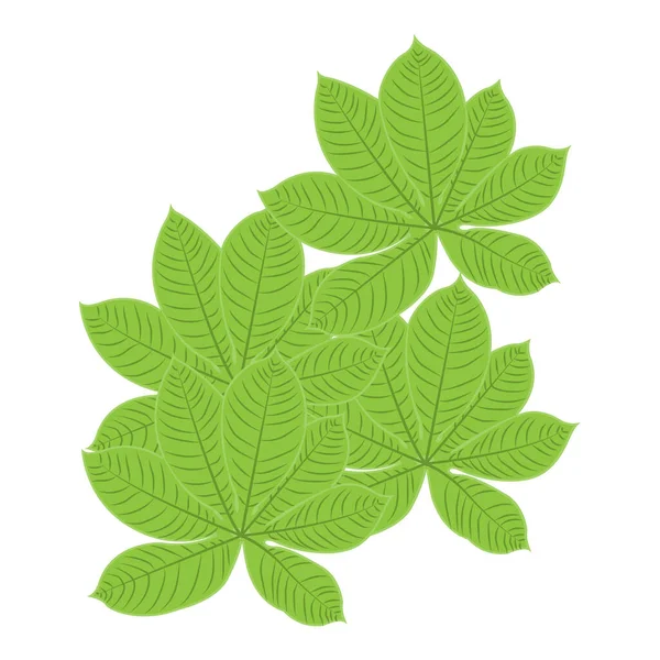 Bladlogotyp Grön Växt Design Blad Träd Produkt Märke Mall Illustration — Stock vektor