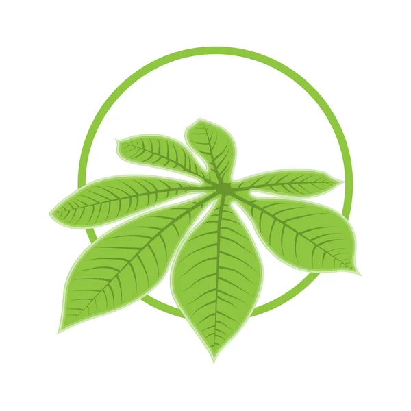 Logo Listu Zelené Listy Rostlinného Designu Stromů Šablona Produktu Značka — Stockový vektor