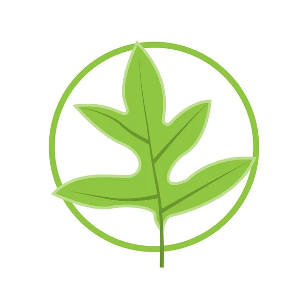 Logo Listu Zelené Listy Rostlinného Designu Stromů Šablona Produktu Značka — Stockový vektor