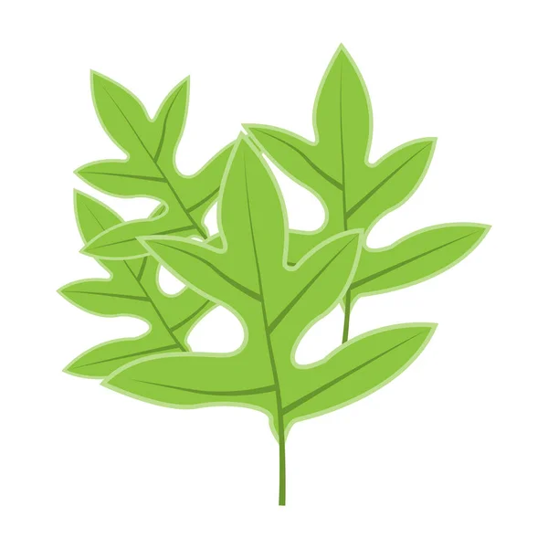 葉のロゴ緑の植物のデザイン木の葉製品ブランドテンプレートイラスト — ストックベクタ