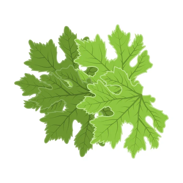 Bladlogotyp Grön Växt Design Blad Träd Produkt Märke Mall Illustration — Stock vektor