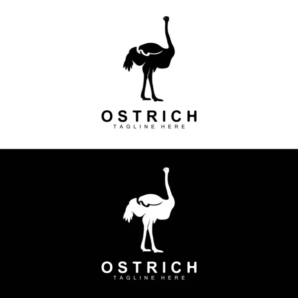 鸵鸟标志设计 沙漠动物图解 生活在森林中 病媒骆驼品牌产品 — 图库矢量图片