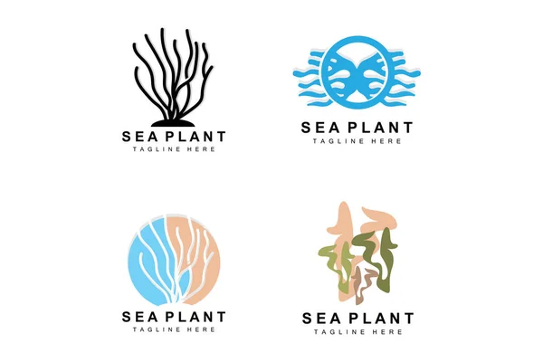 Seaweed Logo Sea Plants Vector Design Grocery Nature Protection — Wektor stockowy
