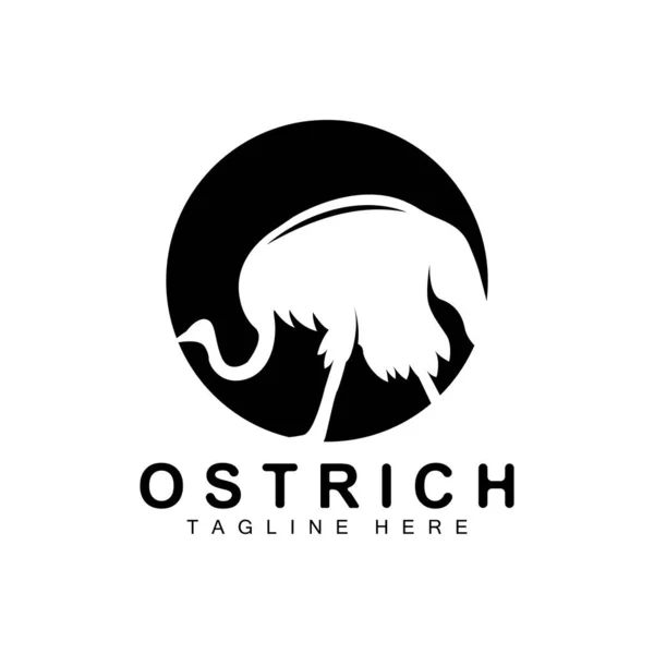 Diseño Logo Avestruz Ilustración Animales Del Desierto Vivir Bosque Vector — Vector de stock