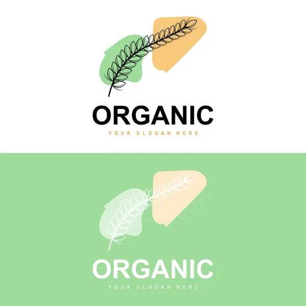 Wheat Rice Logo Agricultural Organic Plants Vector Luxury Design Golden — 스톡 벡터