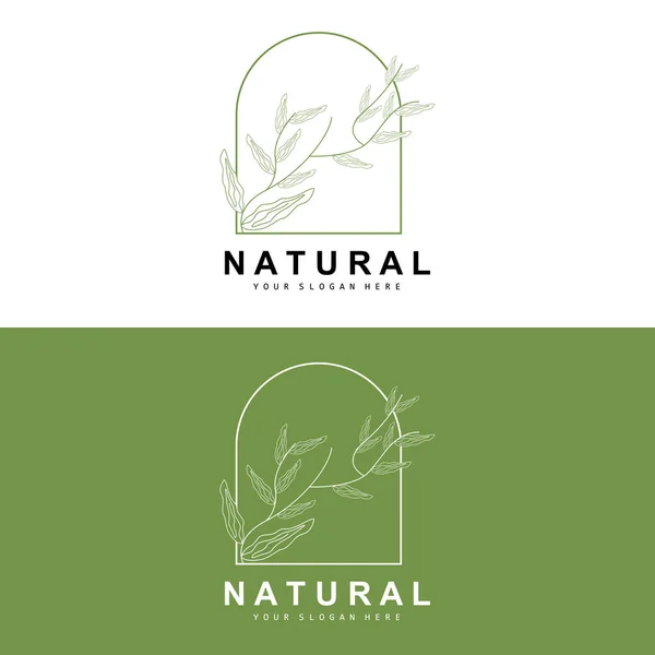 Простой Ботанический Лист Цветочный Логотип Векторный Естественный Стиль Линии Дизайн — стоковый вектор