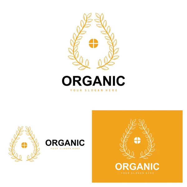 Wheat Rice Logo Agricultural Organic Plants Vector Luxury Design Golden — Vetor de Stock