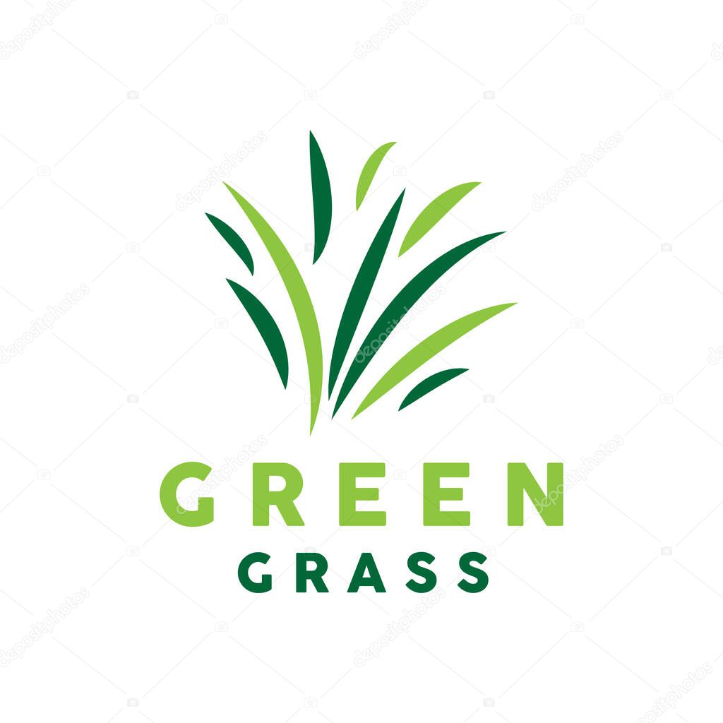 Green Grass Logo, Nature Plant Vector, Agriculture Leaf Simple Design, Template Icon Illustration