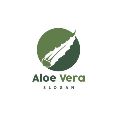 Aloe Vera Logo, Bitki Bitkisi Vektörü, İllüstrasyon Sembol Simgesi Simgesi Basit Tasarım