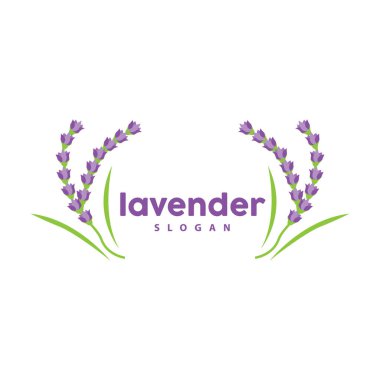 Lavanta Logosu, Basit Mor Çiçek Bitki Vektörü, Kutlama Kartı Tasarımı, Banner, Çiçek Süslemesi, Lavantalı El Çizimi Düğünü, Simge Simgesi İllüstrasyonu