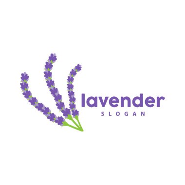 Lavanta Logosu, Basit Mor Çiçek Bitki Vektörü, Kutlama Kartı Tasarımı, Banner, Çiçek Süslemesi, Lavantalı El Çizimi Düğünü, Simge Simgesi İllüstrasyonu