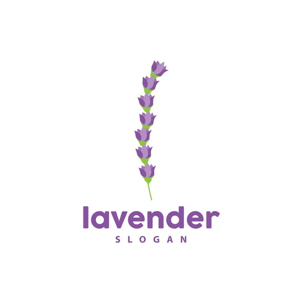 Levendula Logó Egyszerű Elegáns Lila Virág Vektor Üdvözlőlap Tervezés Banner — Stock Vector