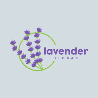 Lavanta Logosu, Basit Mor Çiçek Bitki Vektörü, Kutlama Kartı Tasarımı, Banner, Çiçek Süslemesi, Lavantalı El Çizimi Düğünü, Simge Simgesi İllüstrasyonu