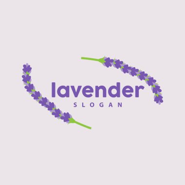 Lavanta Logosu, Basit Mor Çiçek Bitki Vektörü, Kutlama Kartı Tasarımı, Banner, Çiçek Süslemesi, Lavantalı El Çizimi Düğünü, Simge Simgesi İllüstrasyonu