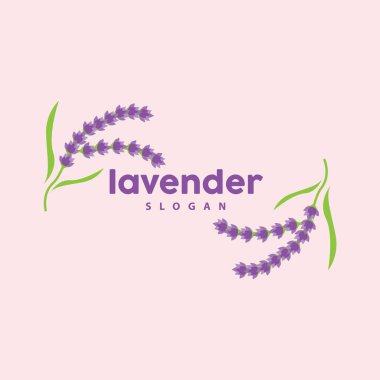 Lavanta Logosu, Basit Mor Çiçek Bitki Vektörü, Kutlama Kartı Tasarımı, Banner, Çiçek Süslemesi, Lavantalı El Çizimi Düğünü, Simge Simgesi İllüstrasyonu