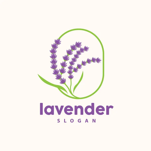 stock vector Lavender Logo, Simple Elegant Purple Flower Plant Vector, Greeting Card Design, Banner, Flower Ornament, Lavender Hand Drawn Wedding, Icon Symbol Illustration