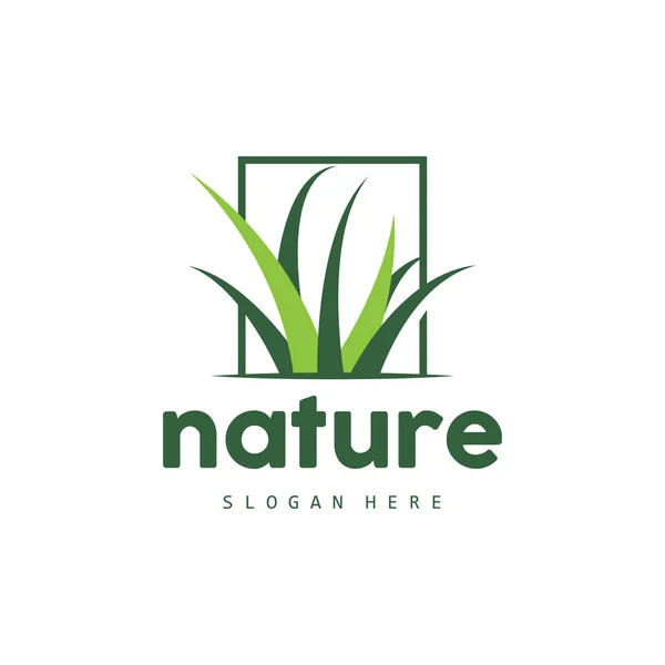 緑の草のロゴ 自然植物ベクトル 農業葉シンプルなデザイン テンプレートアイコンイラスト — ストックベクタ