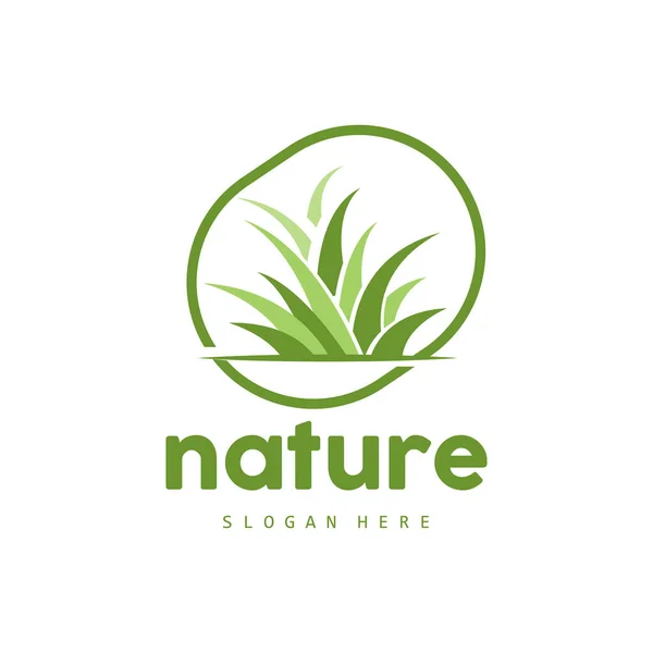 Grünes Gras Logo Natur Pflanzenvektor Landwirtschaft Blatt Einfaches Design Vorlage — Stockvektor