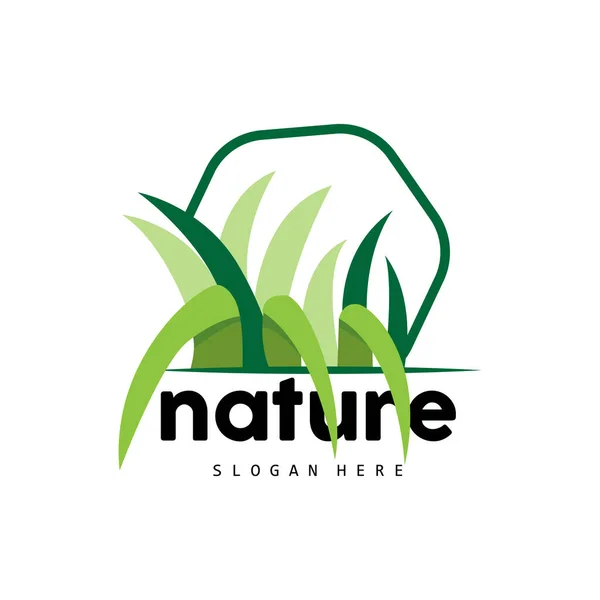 Grünes Gras Logo Natur Pflanzenvektor Landwirtschaft Blatt Einfaches Design Vorlage — Stockvektor