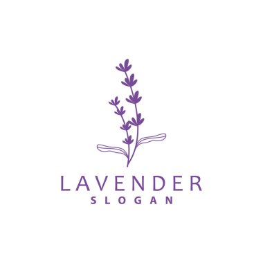 Lavanta Logosu, Basit Mor Çiçek Bitki Vektörü, Kutlama Kartı Tasarımı, Banner, Çiçek Süslemesi, Lavantalı El Çizimi Düğünü, Simge Simgesi İllüstrasyonu