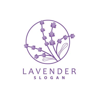 Lavanta Logosu, Basit Mor Çiçek Bitki Vektörü, Kutlama Kartı Tasarımı, Banner, Çiçek Süslemesi, Lavantalı El Çizimi Düğünü, Simge Simgesi İllüstrasyonu