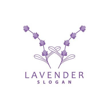 Lavanta Logosu, Basit Mor Çiçek Bitki Vektörü, Kutlama Kartı Tasarımı, Banner, Çiçek Süslemesi, Lavantalı El Çizimi Düğünü, Simge Simgesi İllüstrasyonu