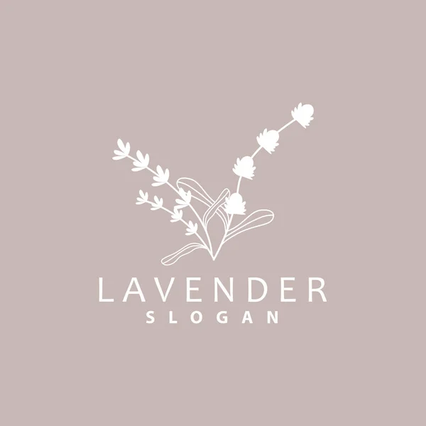 Logotipo Lavanda Vector Planta Flor Púrpura Elegante Simple Diseño Tarjetas — Vector de stock
