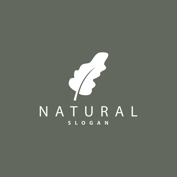 Blatt Logo Eichenblatt Logo Design Minimalistischer Natürlicher Pflanzenbaumvektor Illustrationsvorlage — Stockvektor