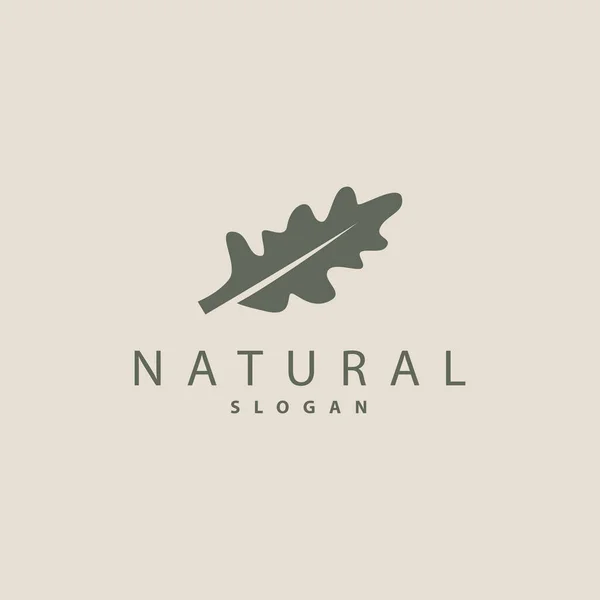 Logo Liści Projekt Logo Liści Dębu Minimalistyczny Wektor Naturalnych Roślin — Wektor stockowy