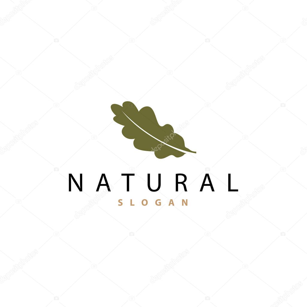 Leaf Logo, Oak Leaf Logo Design, Minimalist Natural Plant Tree Vector, Illustration Template