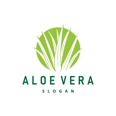 Aloe Vera Logo Tasarımı Basit İllüstrasyon Sağlık Bitki Çimeni