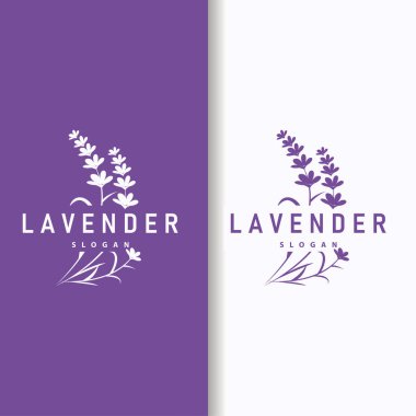 Lavanta Logosu Mor Çiçek Bitkisi İllüstrasyon Çiçek Süslemesi Tasarımı